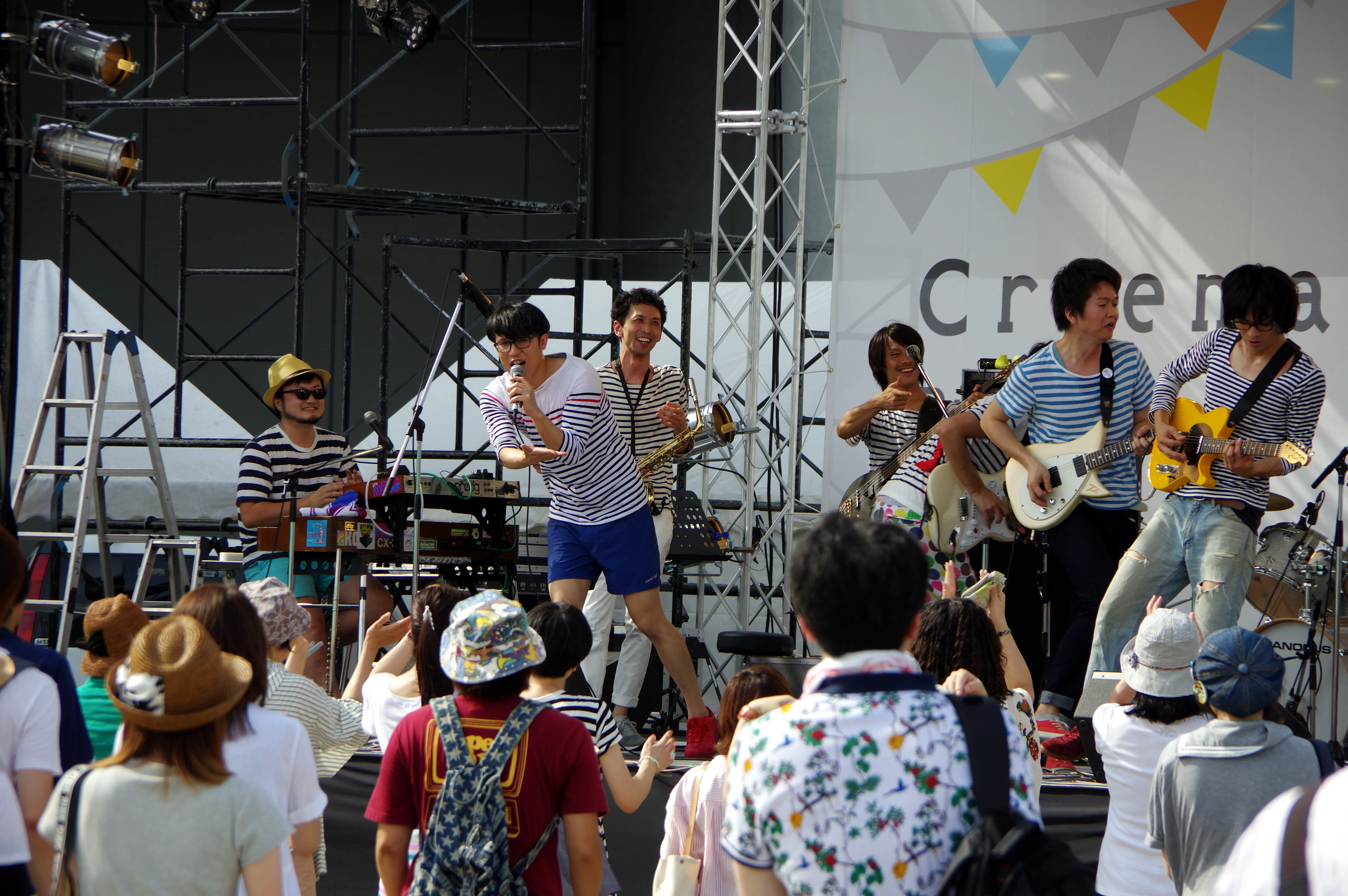 Official promotional archive photo of bonobos