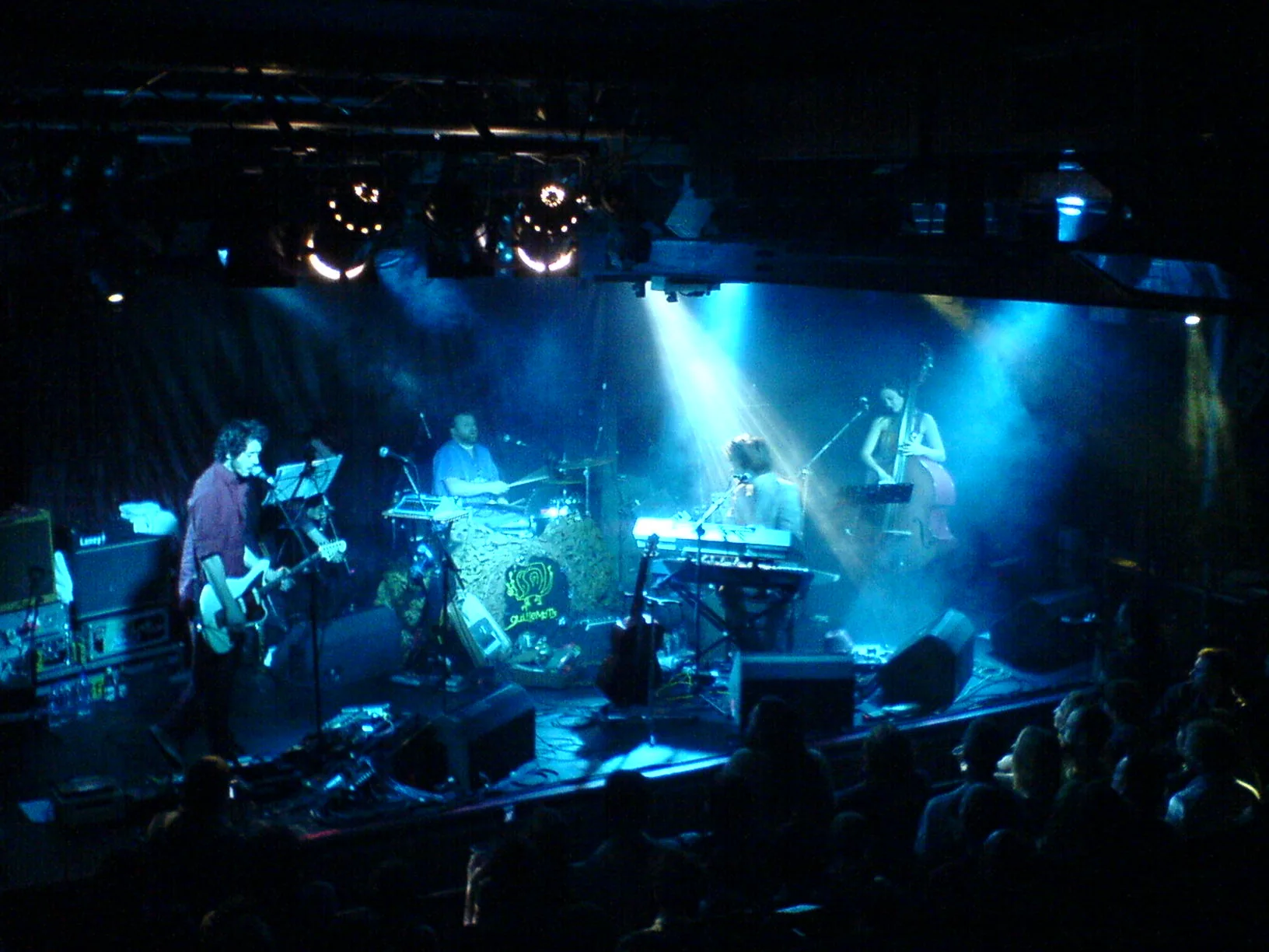 Guillemots