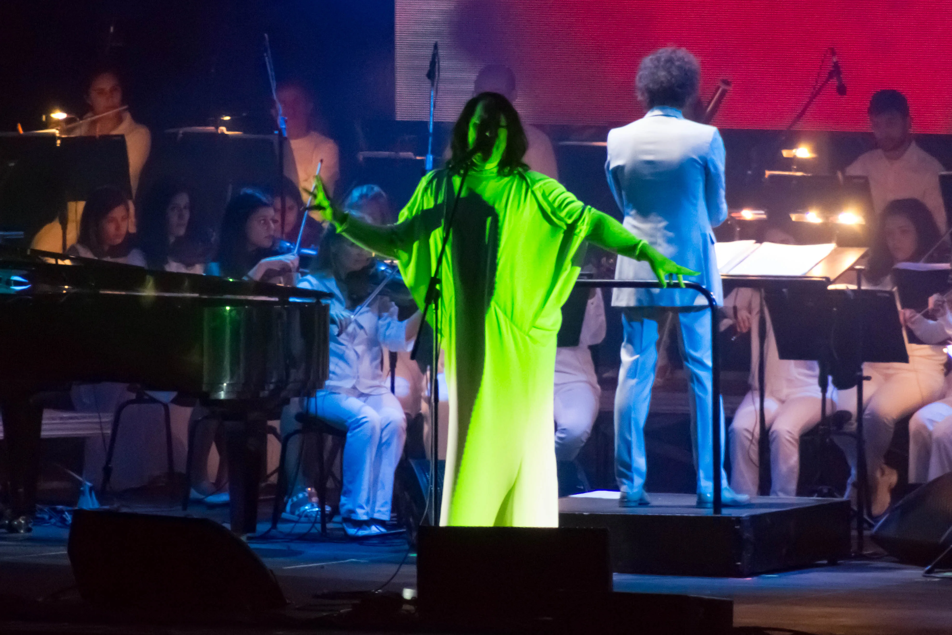 ANOHNI and the Johnsons