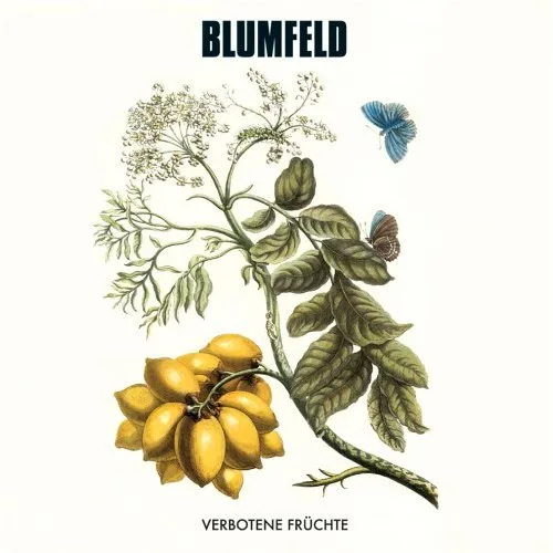 Official promotional archive photo of Blumfeld