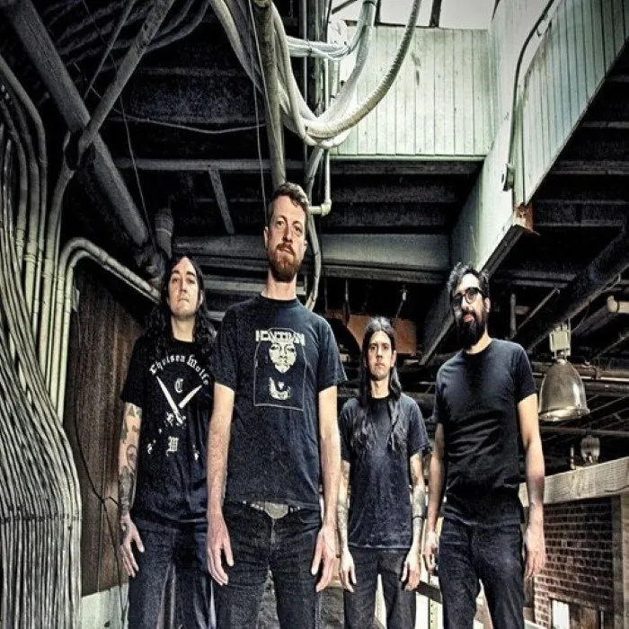 Usnea