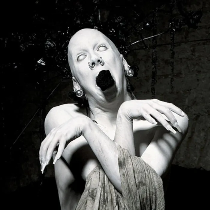 Sopor Aeternus & The Ensemble of Shadows