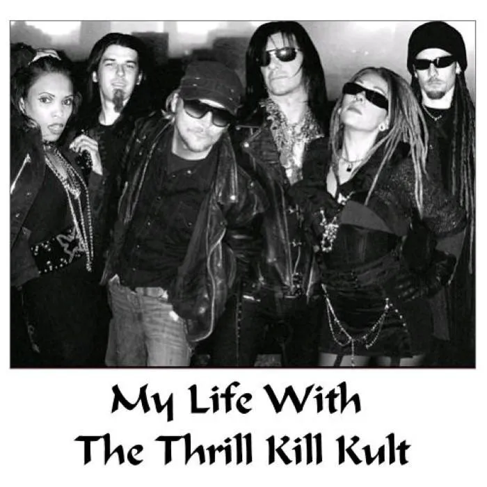 My Life With the Thrill Kill Kult