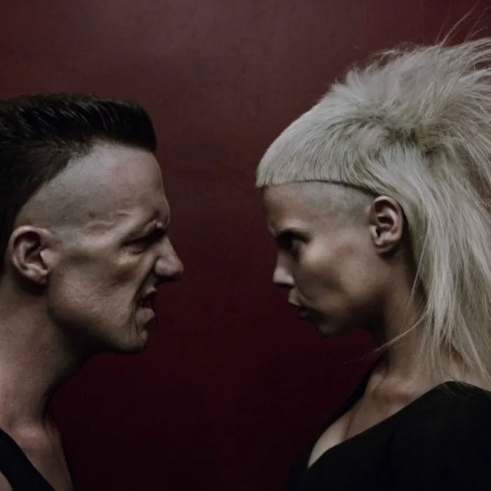 Die Antwoord