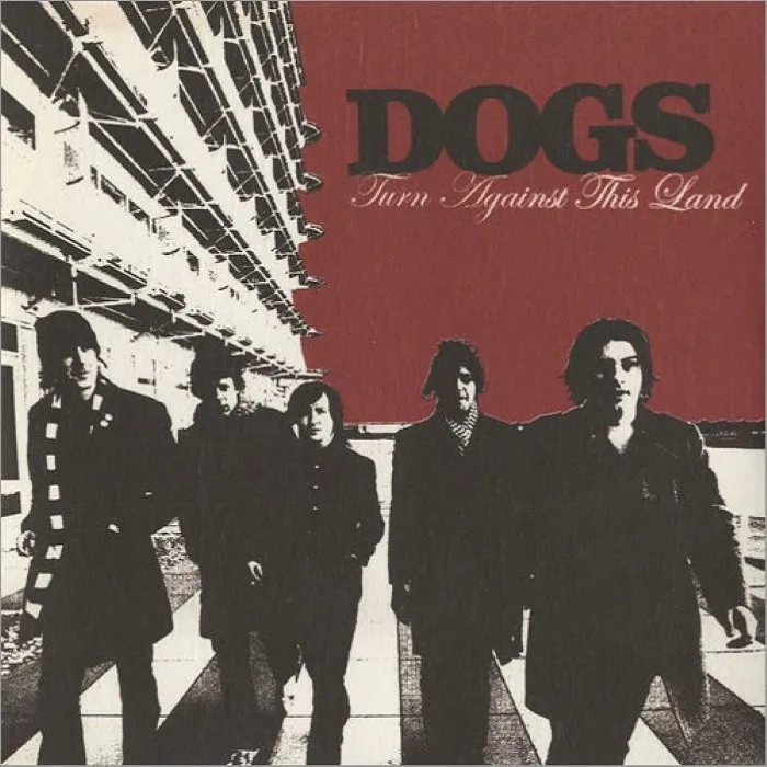 Dogs