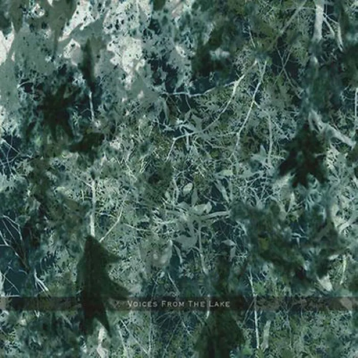 Voices From the Lake
