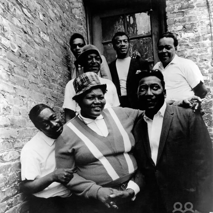 The Muddy Waters Band