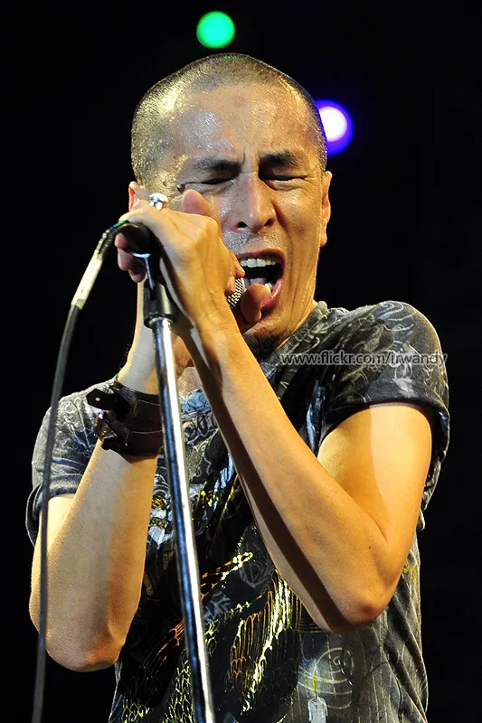 Amy Search