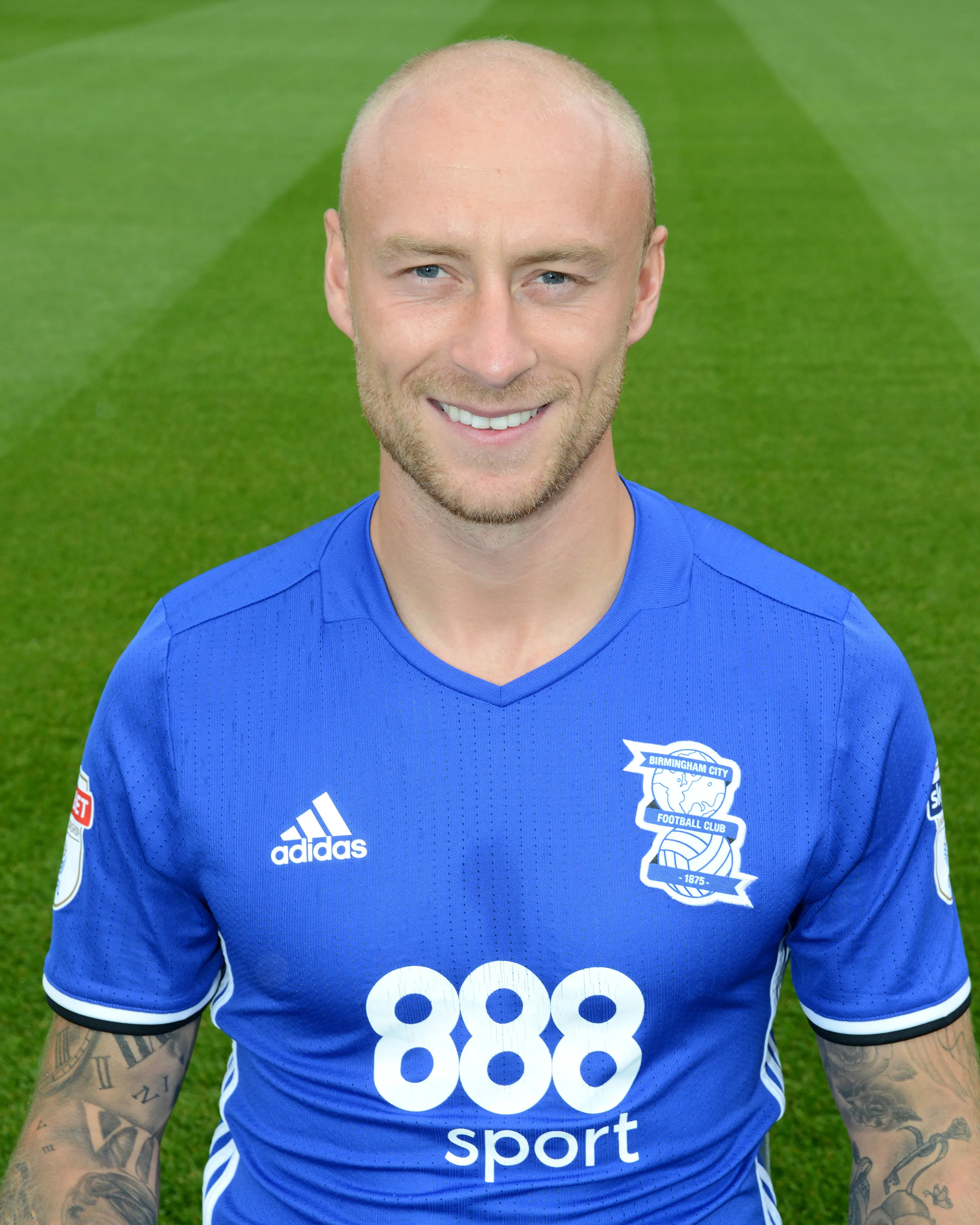 David Cotterill
