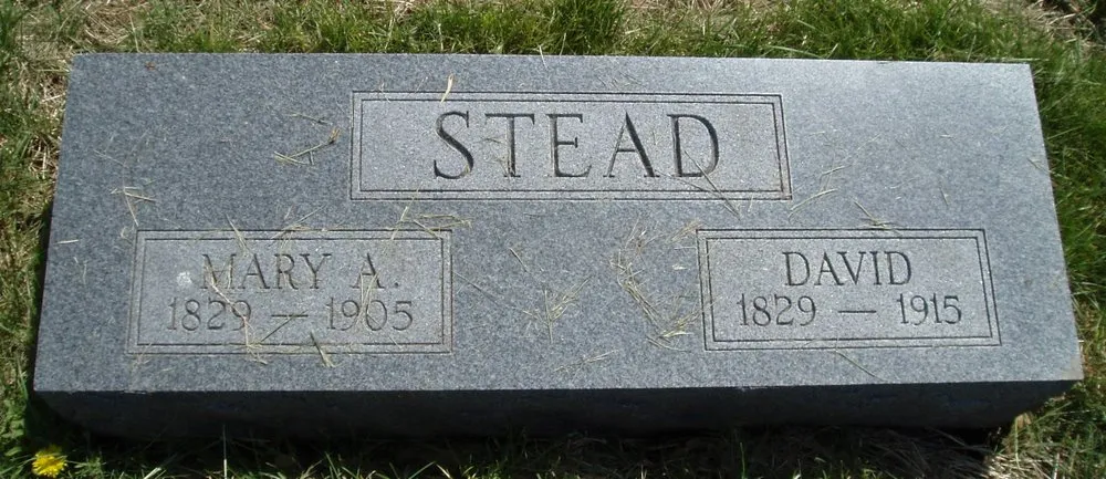 David Stead