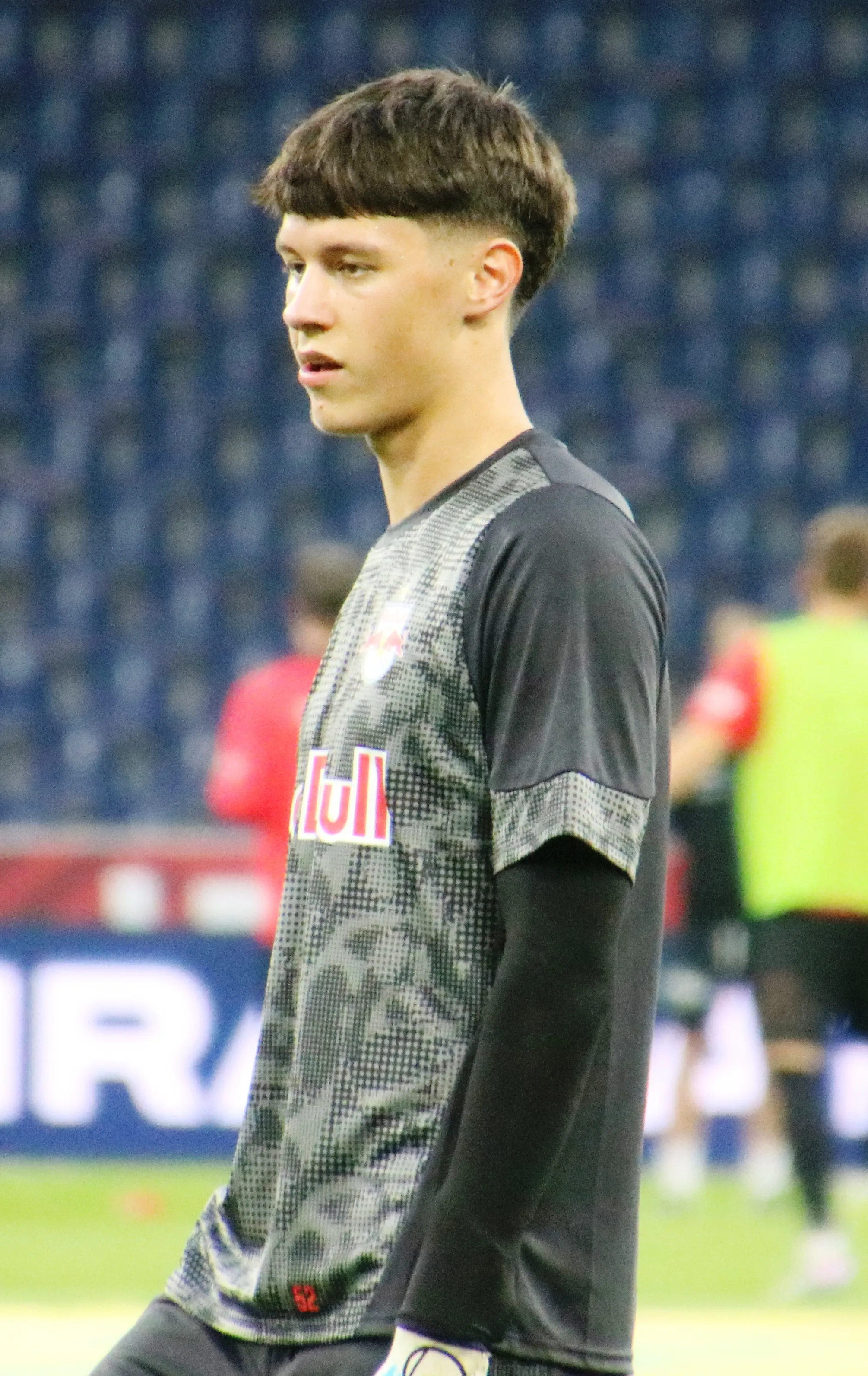 Nikola Sarcevic