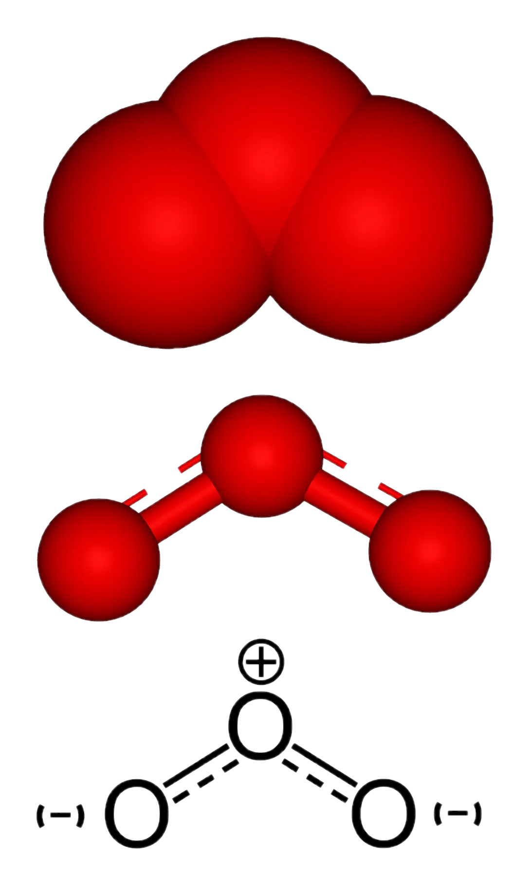 Ozo
