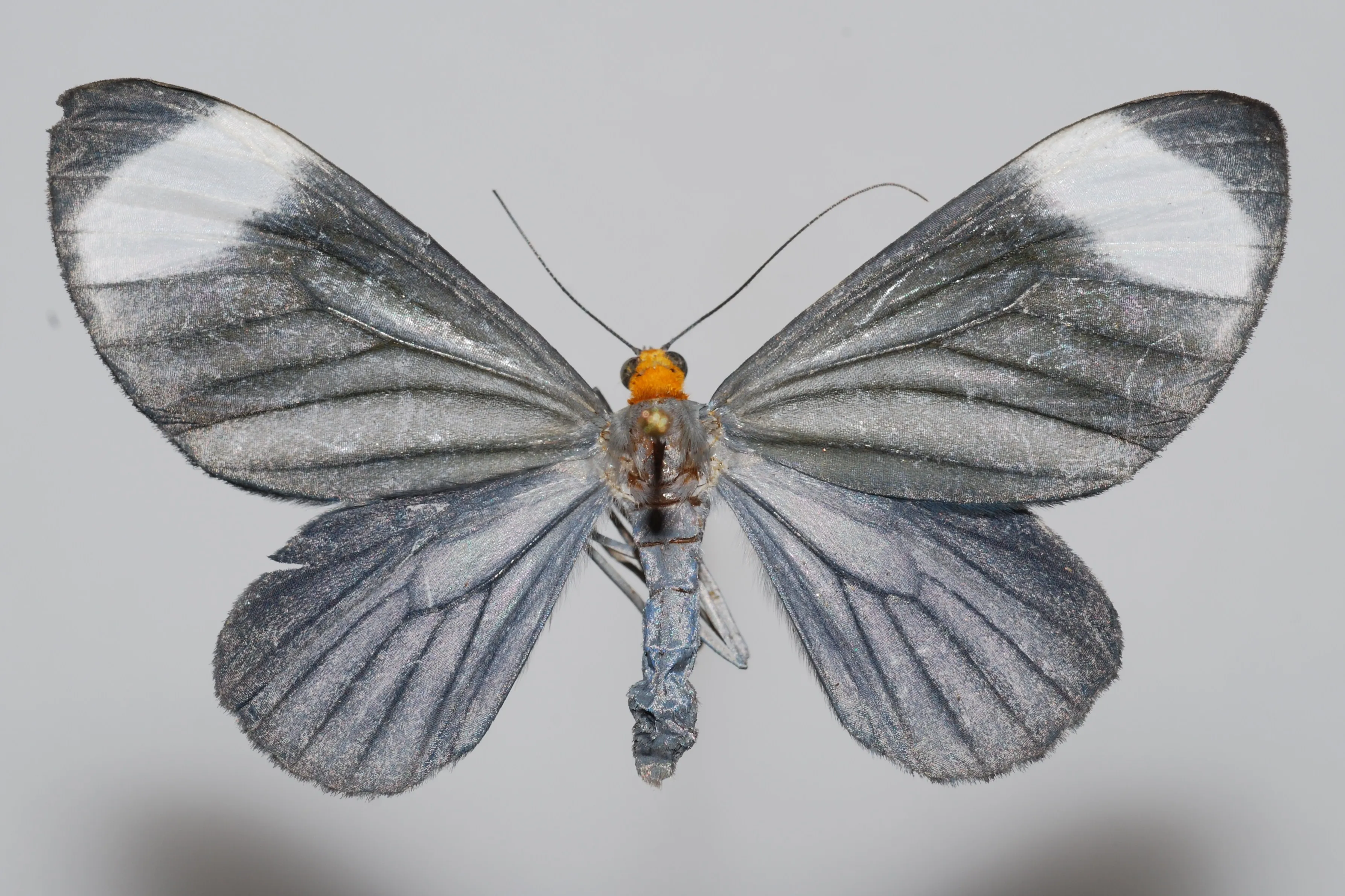 SimenA