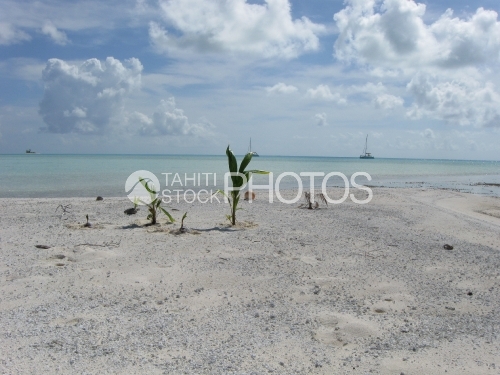Deserted Beach in the lagoon, Banc de sable dans le lagon