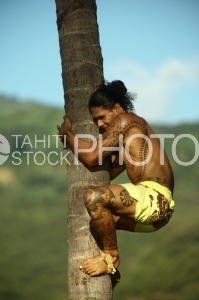 Tahitian and yellow pareo climbing on coconut tree, Heiva