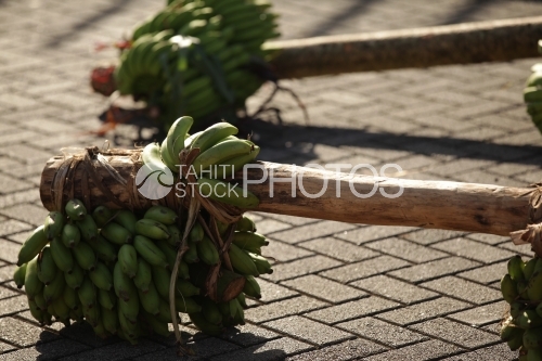 Bananas of Fruits carriers racing of Heiva in Tahiti