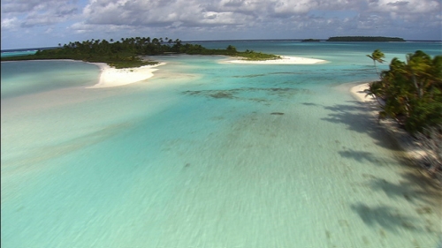 Aerial shot of  white sand beach and coconut trees in the lagoon of Tetiaroa, atoll of Society islands in french Polynesia