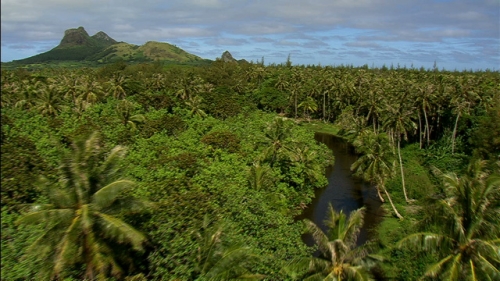 Aerial shot of a river and mangrove swamp of Tubuai, Austral islands archipelago, french Polynesia