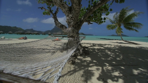 Bora Bora, Hamac installed between trees on the white sand beach