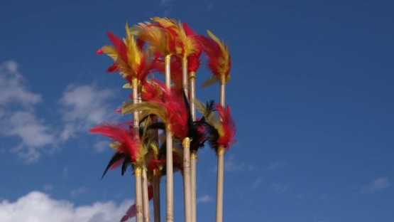 Heiva Tahiti, Traditional sports of Polynesia, head of javelin ornamented with colored feathers