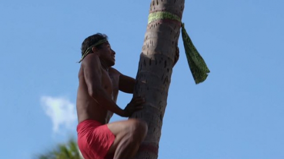 Heiva Tahiti, Traditional sports of Polynesia, young man climbing on a coconut tree during contest