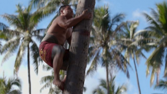 Heiva Tahiti, Traditional sports of Polynesia, Coconut Climbers traditional Contest