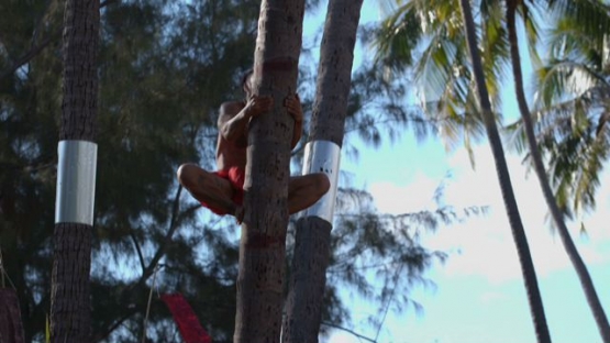 Heiva Tahiti, Traditional sports of Polynesia, Coconut tree climbers contest