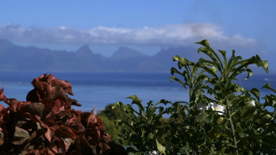Moorea shot from Tahiti, island under the blue sky, focus effect