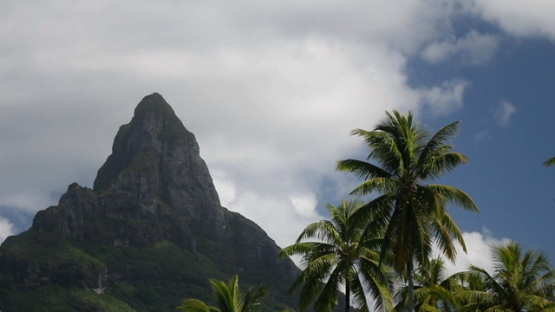 Bora Bora, view of the mount Otemanu and coconut trees in the lagoon