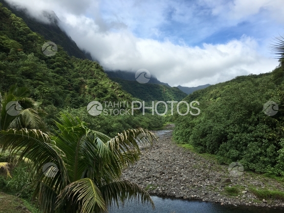 Tahiti, Landscape of the Papenoo valley, by the river