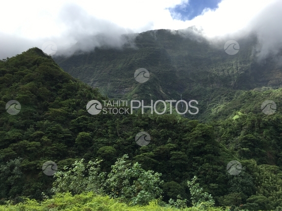 Tahiti, Landscape of the Papenoo valley, clouds on top of mountains