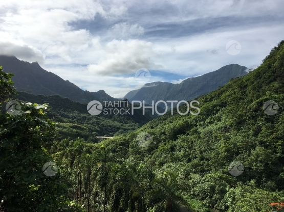 Tahiti, Landscape of the Papenoo valley and mountains