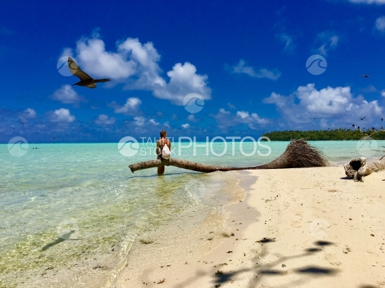Young lady sitting on a palm tree, birds flying