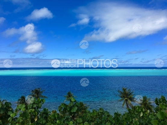 Huahine, view on the blue lagoon over the coconut trees plantation