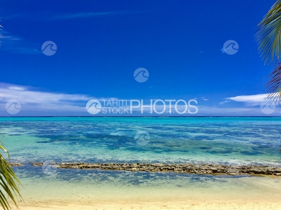Moorea, seashore and white sand beach along the turquoise lagoon