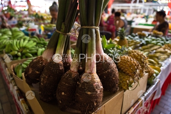 Market of Papeete, selling local taro
