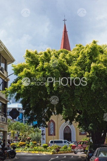 Tahiti, Cathedral of Papeete behind a big tree