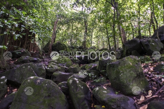 Nuku Hiva, Anaho, rocks in the wild nature and forest