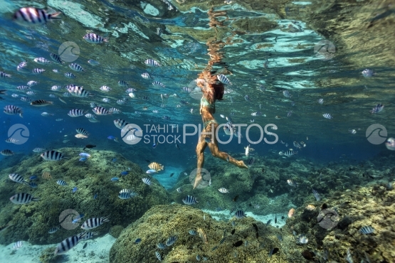 Butterfly fish gathering around a woman swimming over corals