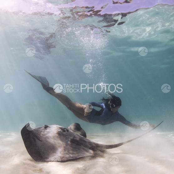 Moorea, Sting ray swimming around a woman in the lagoon, underwater