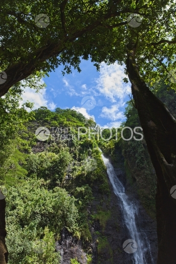 Tahiti, waterfall seen between trees