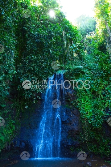 Tahiti, waterfall in the middle of vegetation