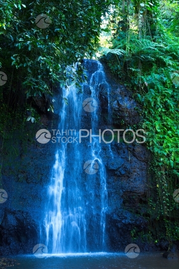 Tahiti, waterfall in the middle of vegetation