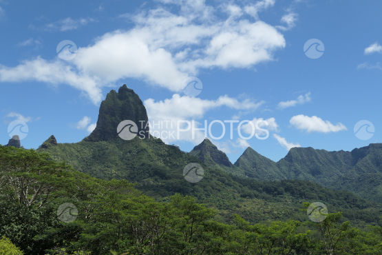 High mountain of Moorea, Opunohu bay
