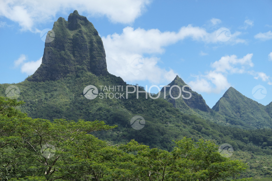 Mountain of Moorea, shot from the Belvedere