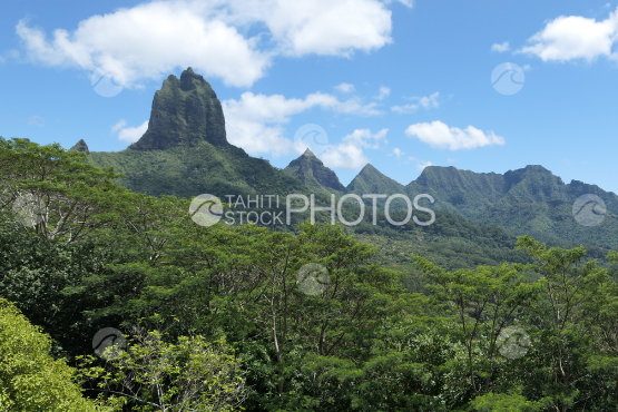 Panoramic viwe of a Mountain of Moorea, shot from the Belvedere