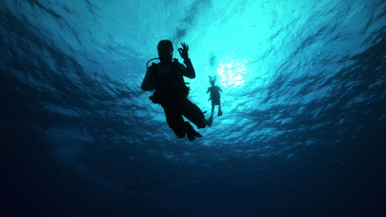 Scuba divers in the blue, Tuamotu, 4K UHD