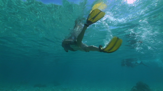 Snorkeler swimming in the lagoon, Moorea