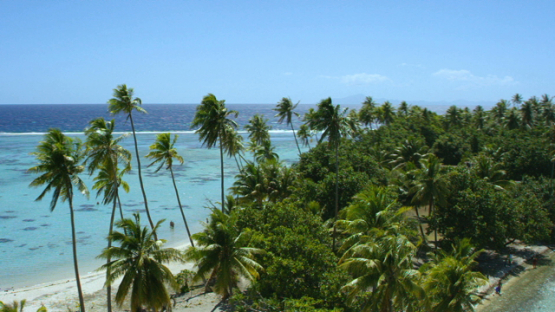 Raiatea, aerial view of the pass ans ilets covered of palmtrees
