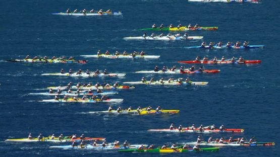 Raiatea, aerial view of Hawaikinui paddle race, start of the canoes